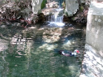 Rhodes Greece Seven Springs, 7 Piges