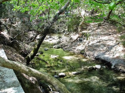 Private Tours to Epta Piges in Rhodes